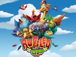 Ruffled Up game cover